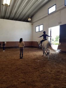 Experiências a cavalo (gratuito para crianças)